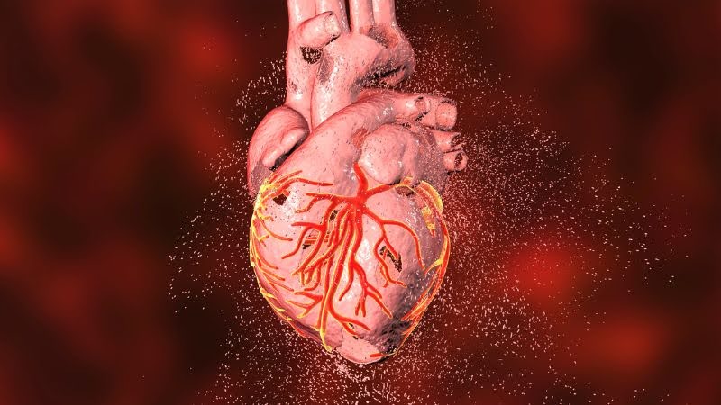 Cardiovascular Health